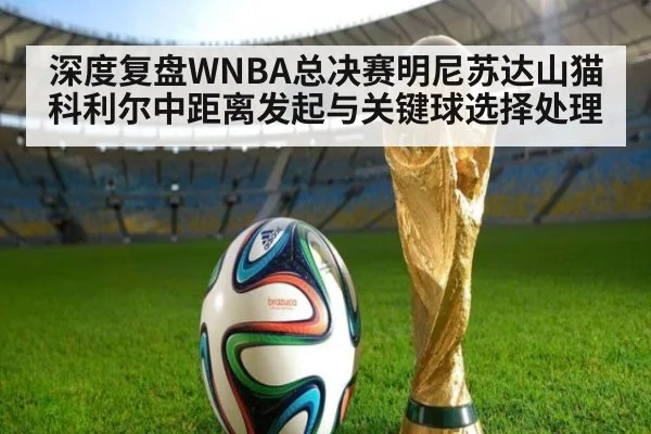 深度复盘WNBA总决赛明尼苏达山猫科利尔中距离发起与关键球选择处理